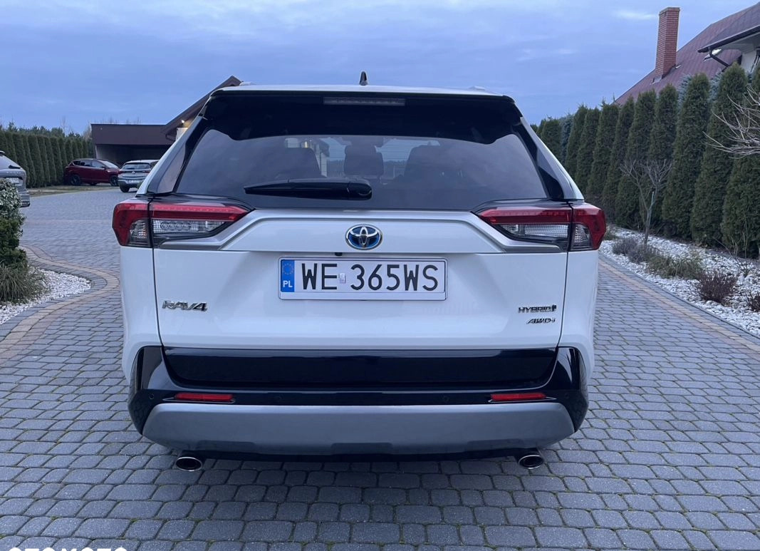 Toyota RAV4 cena 144900 przebieg: 84000, rok produkcji 2019 z Pajęczno małe 704